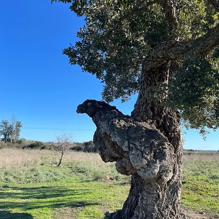Maison Independante Entre Et Montagne Casa vacanze Prunelli-di-Fiumorbo