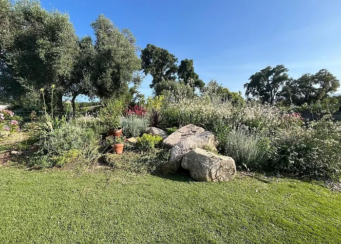 Maison Independante Entre Et Montagne Prunelli-di-Fiumorbo