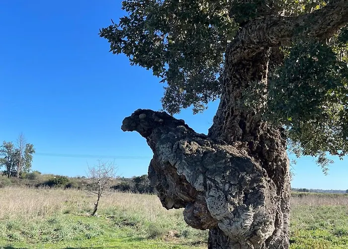Maison Independante Entre Et Montagne Prázdninový dům Prunelli-di-Fiumorbo